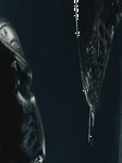 pic for Alien Vs Predator